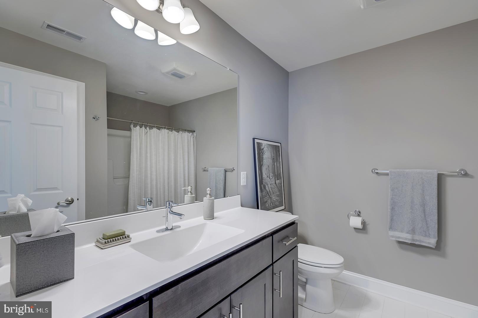 303 Brick Lane Milton, DE 19968 - Photo 38 of 71 a bathroom with a granite countertop sink a toilet and a mirror