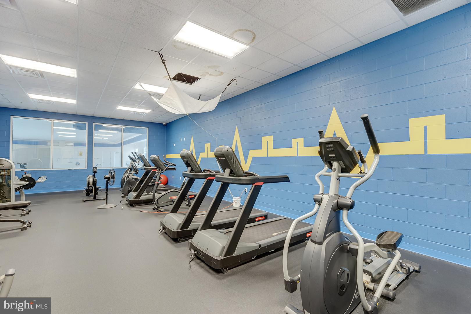 303 Brick Lane Milton, DE 19968 - Photo 67 of 71 a view of a room with gym equipment