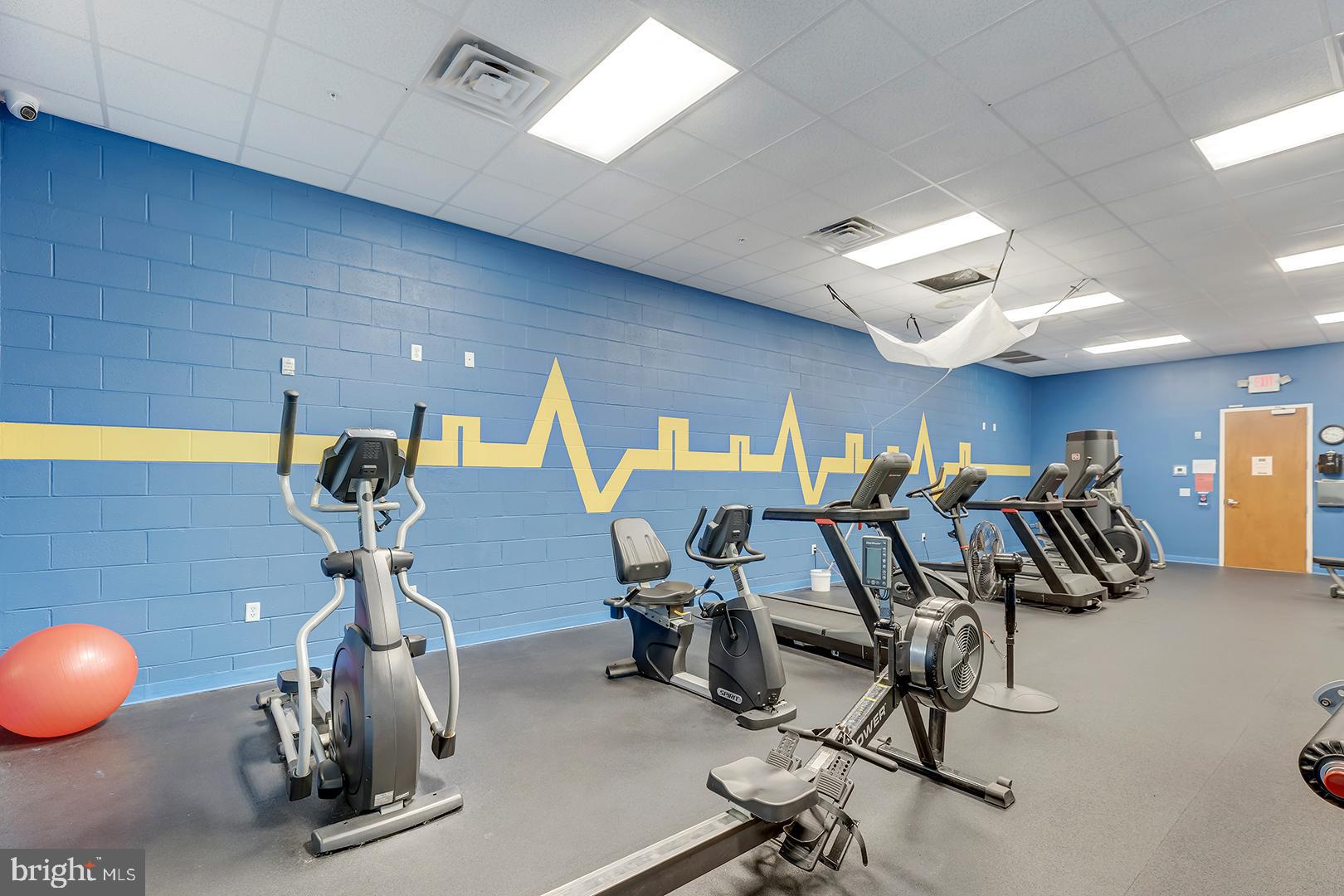 303 Brick Lane Milton, DE 19968 - Photo 69 of 71 a view of a room with gym equipment