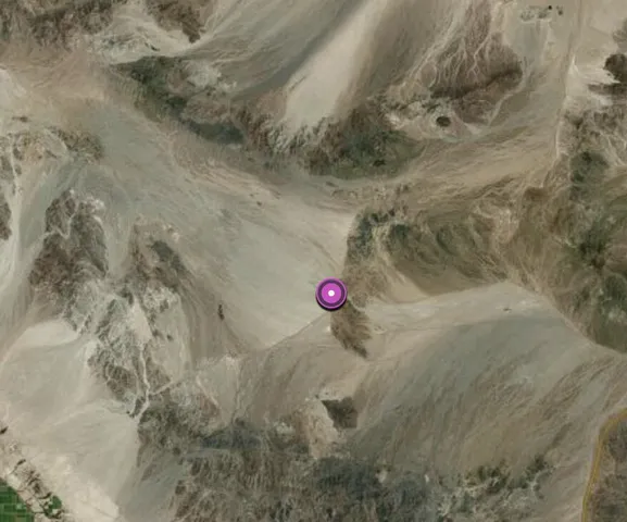 a view of a dry area of trees