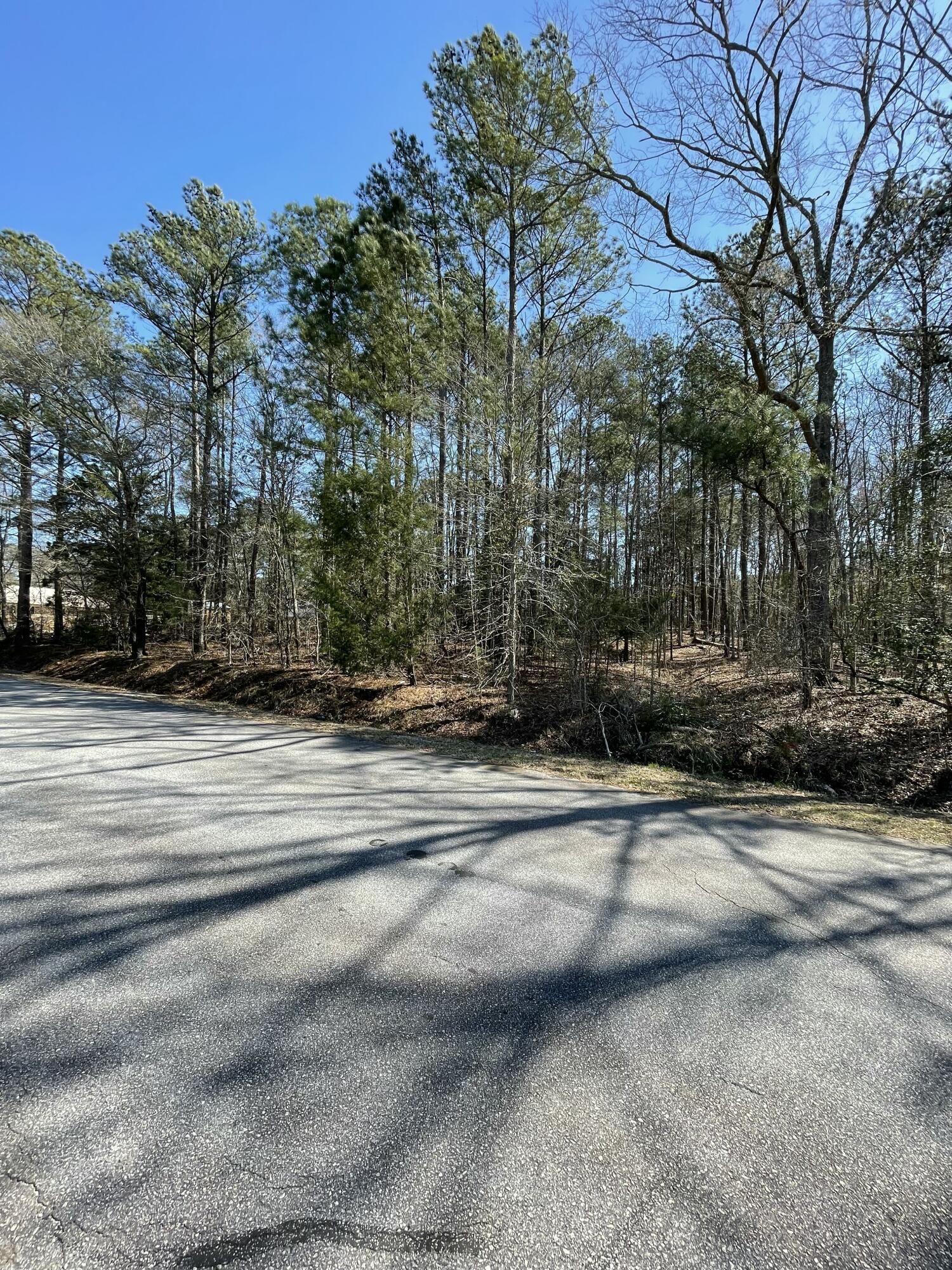 0 Westside Drive McCormick, SC 29835 - Photo 9 of 10