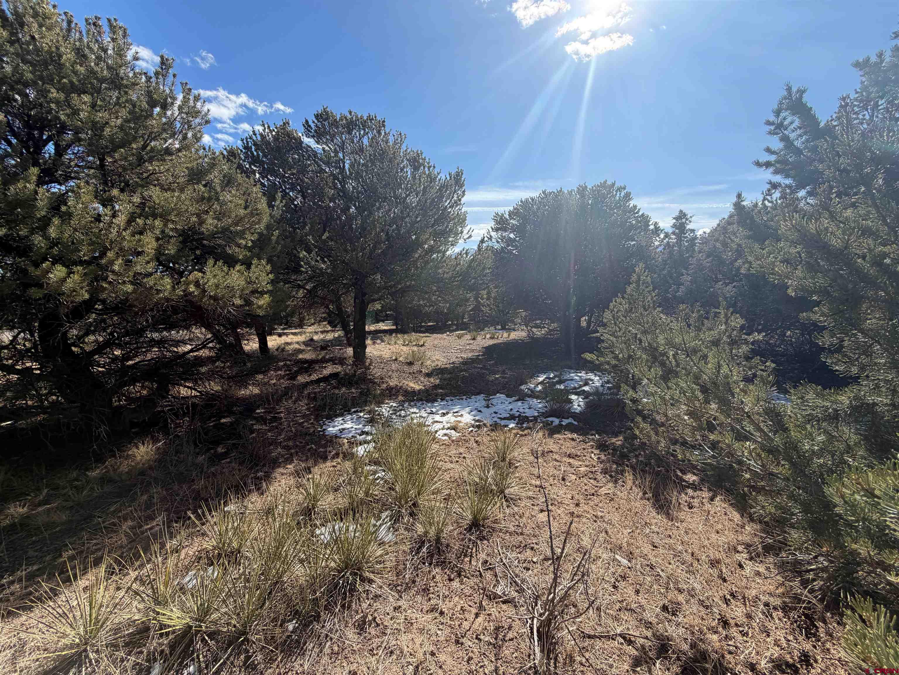 390 Cameron Pass Road South Fork, CO 81154 - Photo 2 of 4