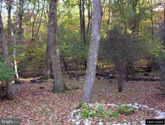 23 Wagner Road, Unit 10 Fayetteville, PA 17222 - Photo 3 of 6 Gallery Image 3