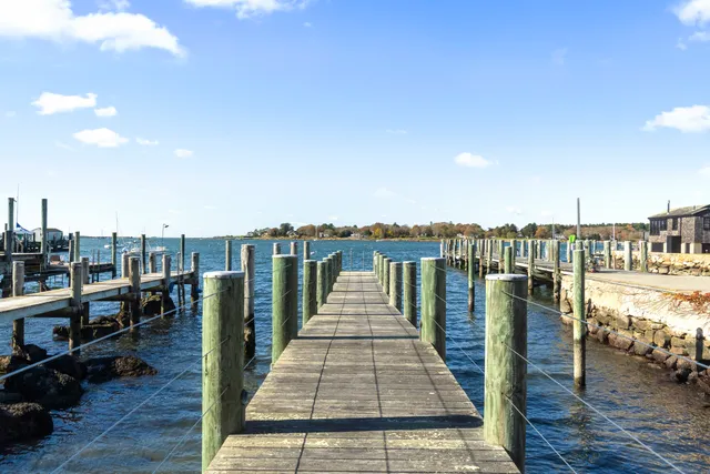 a view of a grassy area with an trees