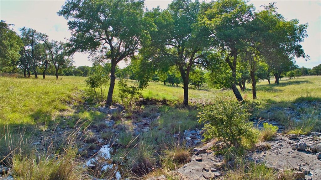 1411 Grape Creek Road Fredericksburg, TX 78624 - Photo 21 of 44