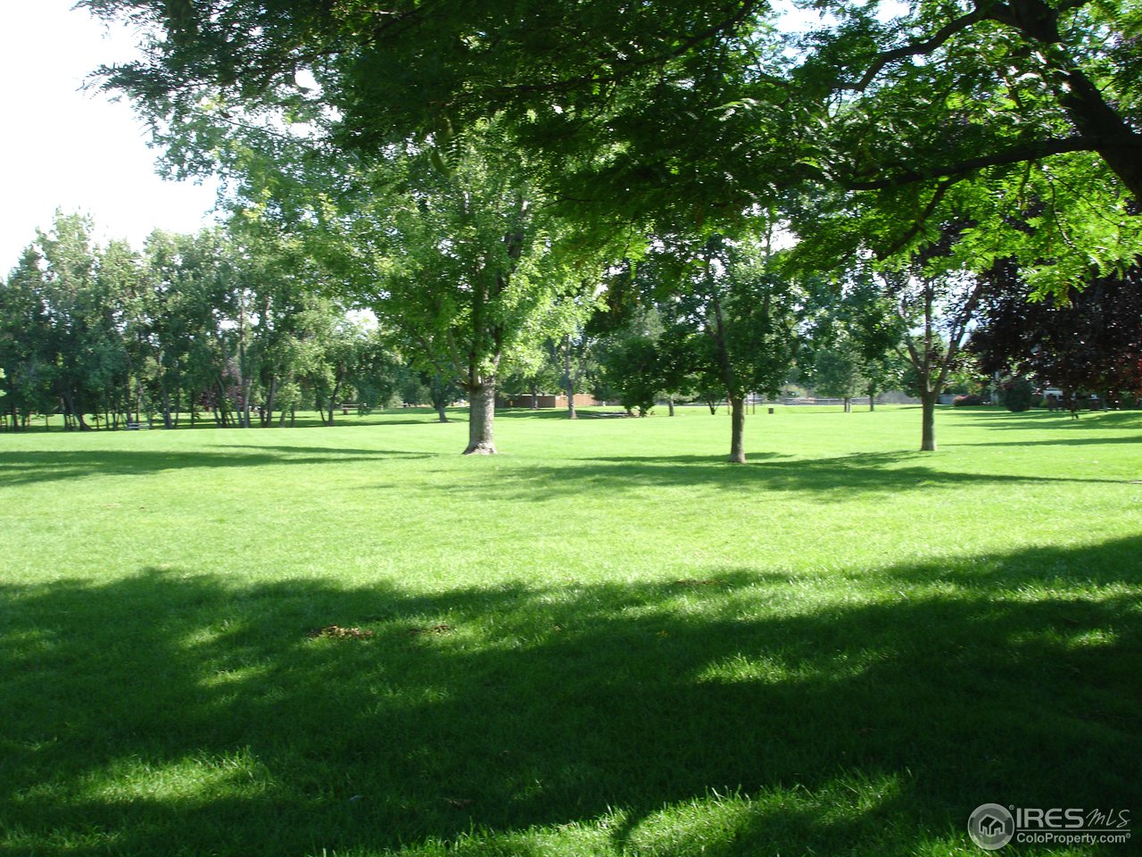 4729 Spine Road, Unit F Boulder, CO 80301 - Photo 11 of 12 Fido will love the dog-friendly park.