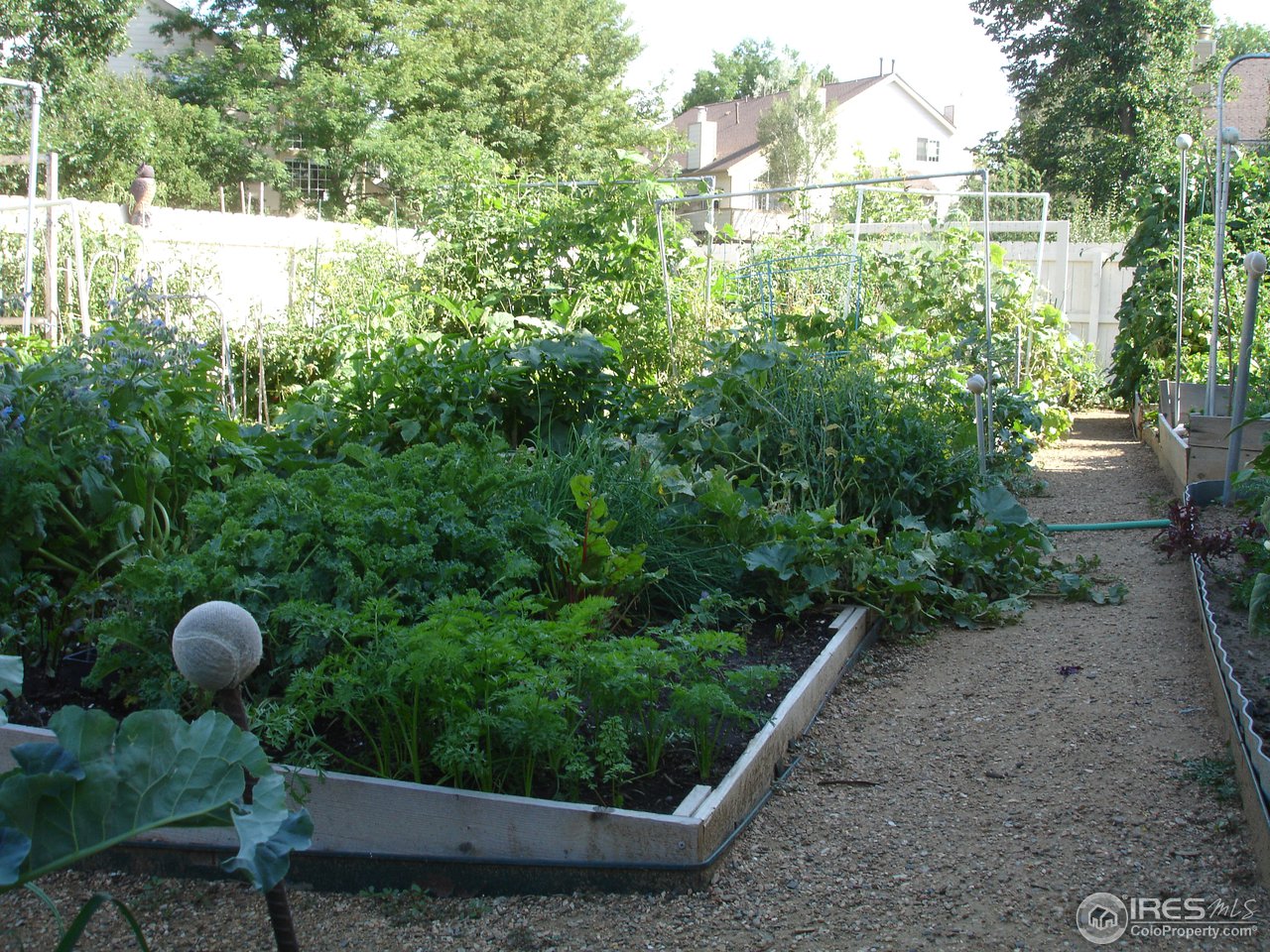 4729 Spine Road, Unit F Boulder, CO 80301 - Photo 9 of 12 Powderhorn's community garden in full abundance.