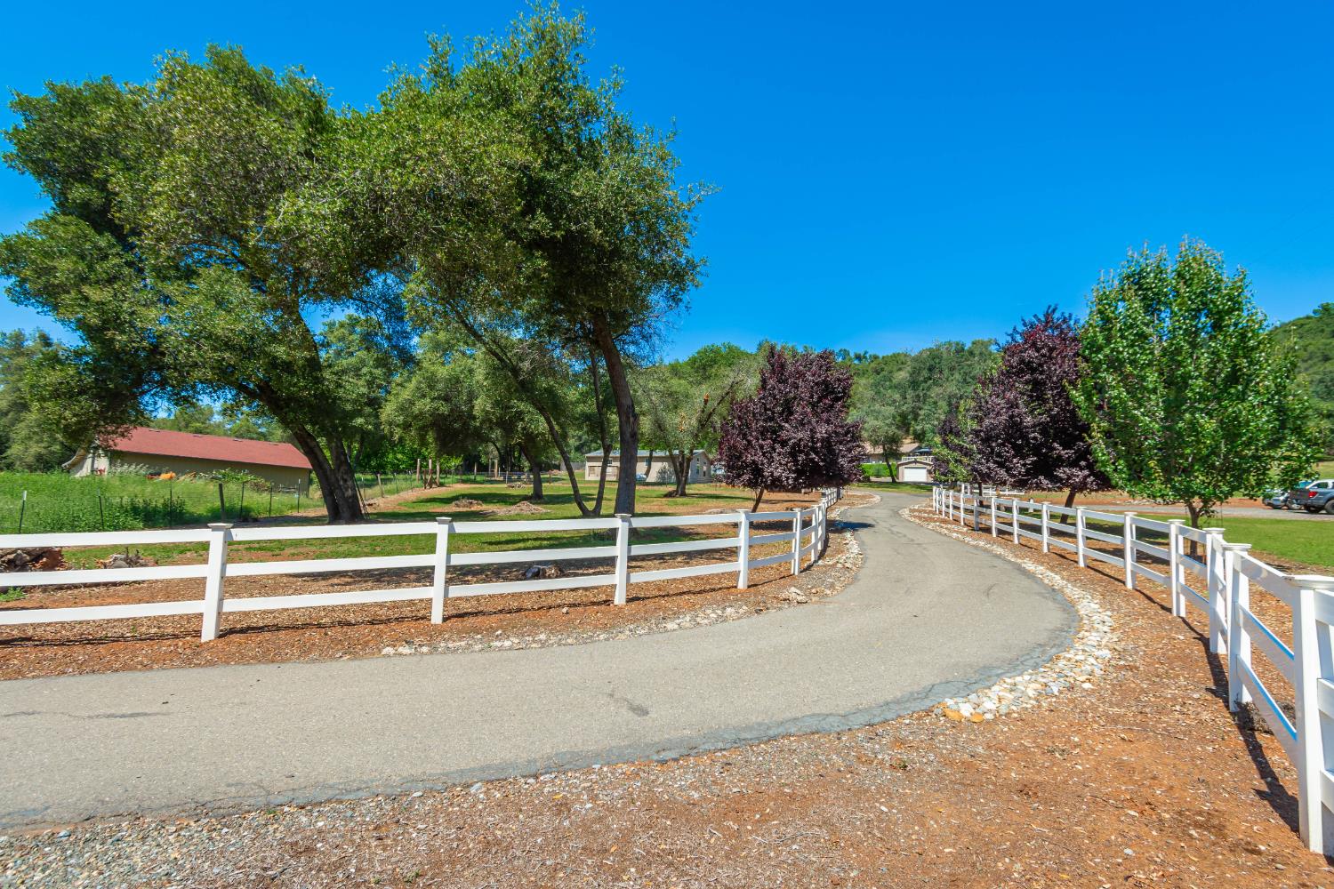 1725 Lone Pine Road Shingle Springs, CA 95682 - Photo 37 of 86
