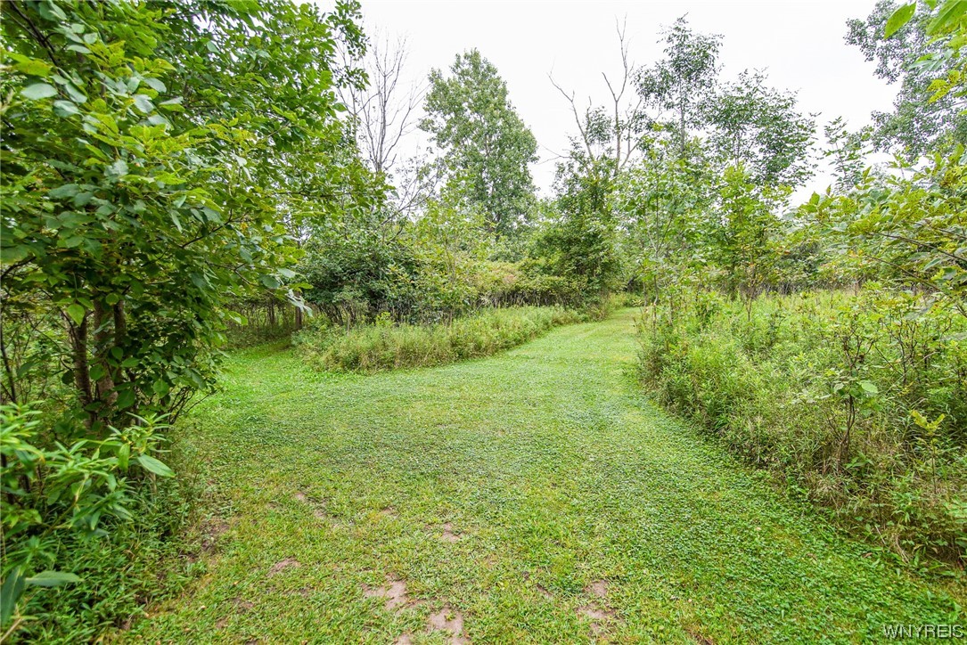 5175 Thompson Road Clarence, NY 14031 - Photo 48 of 48