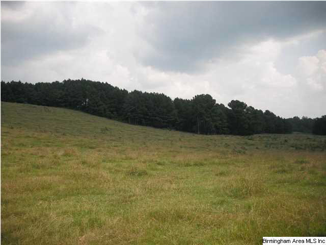 Pepper Road, Unit 61 Ashland, AL 36251 - Photo 9 of 10