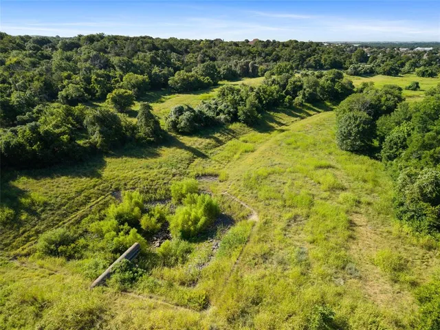a view of a yard with plants