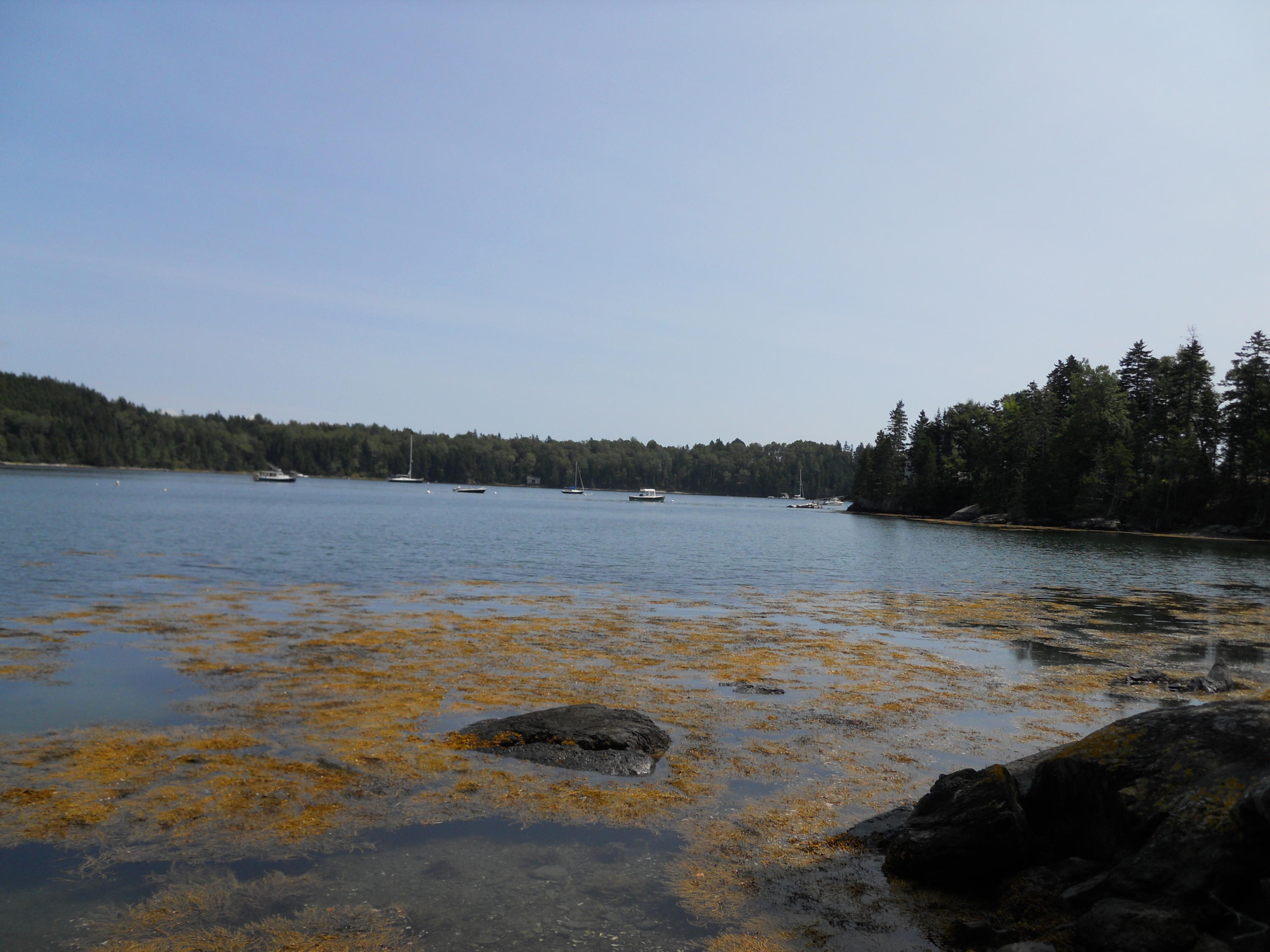 25-21 Ryder Road Islesboro, ME 04848 - Photo 25 of 27 Sabbath Day Harbor