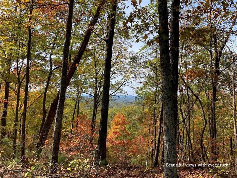 1206 Jewel Court Northeast Ranger, GA 30734 - Photo 15 of 26 a view of a tree with a yard