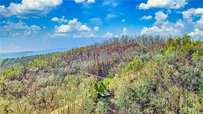1206 Jewel Court Northeast Ranger, GA 30734 - Photo 20 of 26 a view of a yard