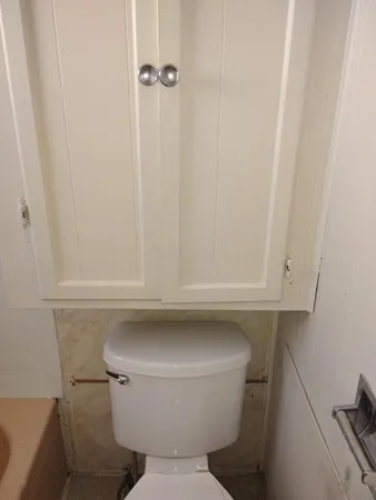 a bathroom with a toilet