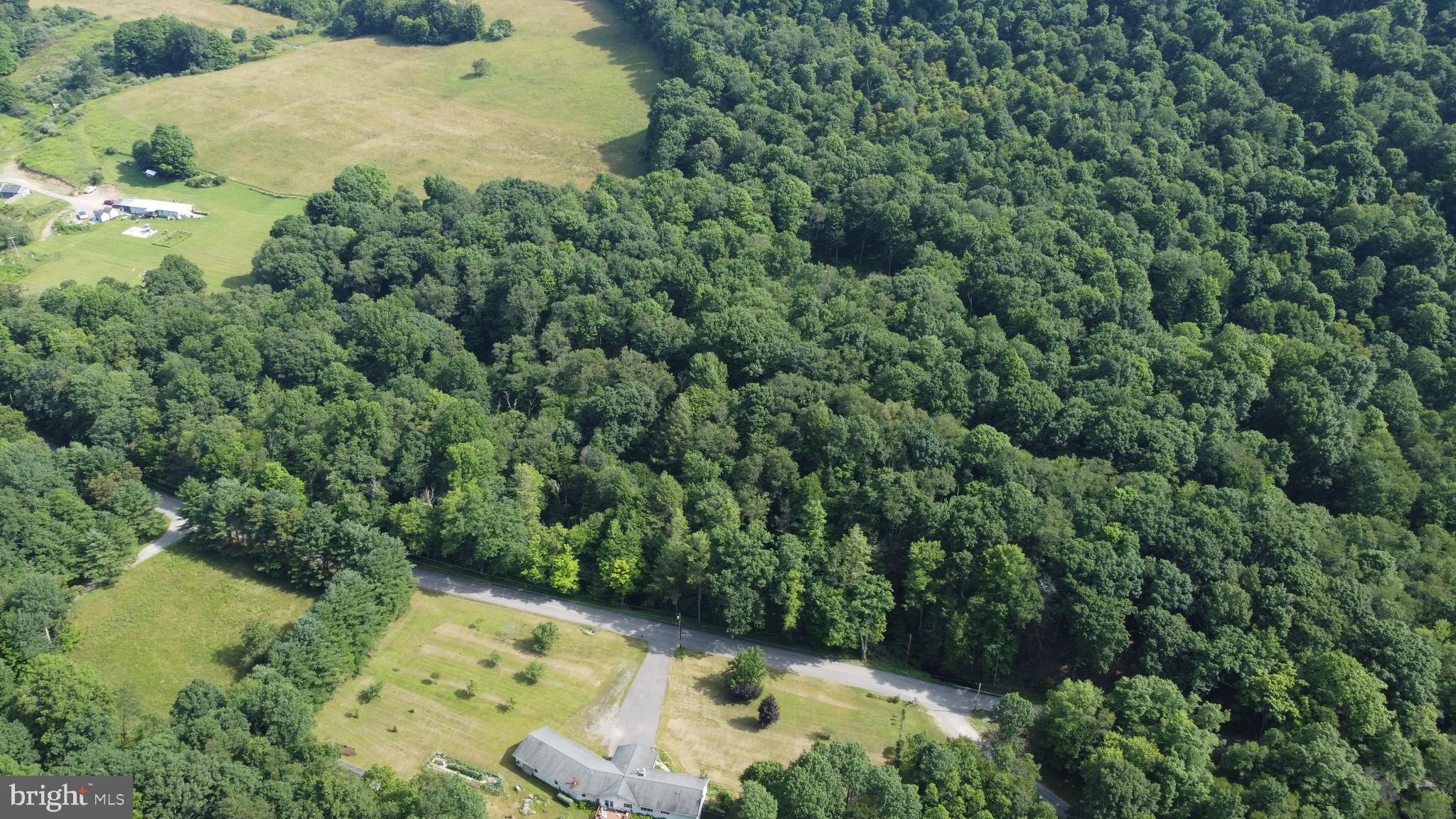 Sang Run Road McHenry, MD 21541 - Photo 1 of 10