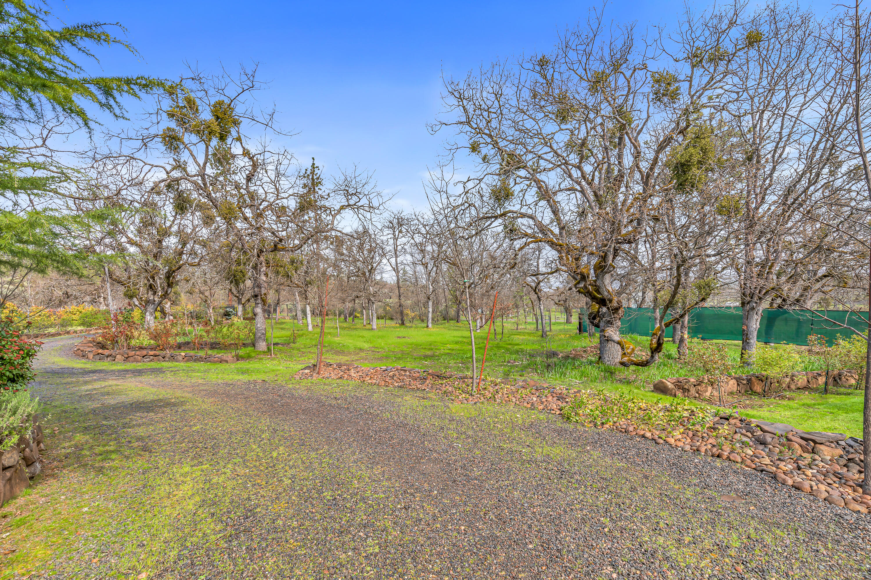 349 Capri Drive Eagle Point, OR 97524 - Photo 13 of 54 9R9A7584