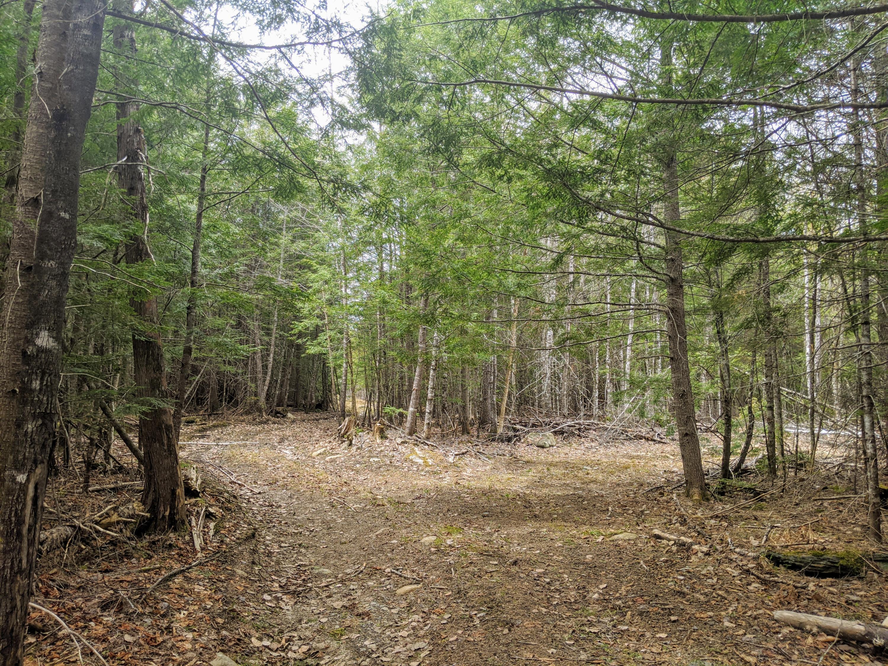 0 State Park Road Dover-Foxcroft, ME 04426 - Photo 10 of 29 IMG_20210429_121606