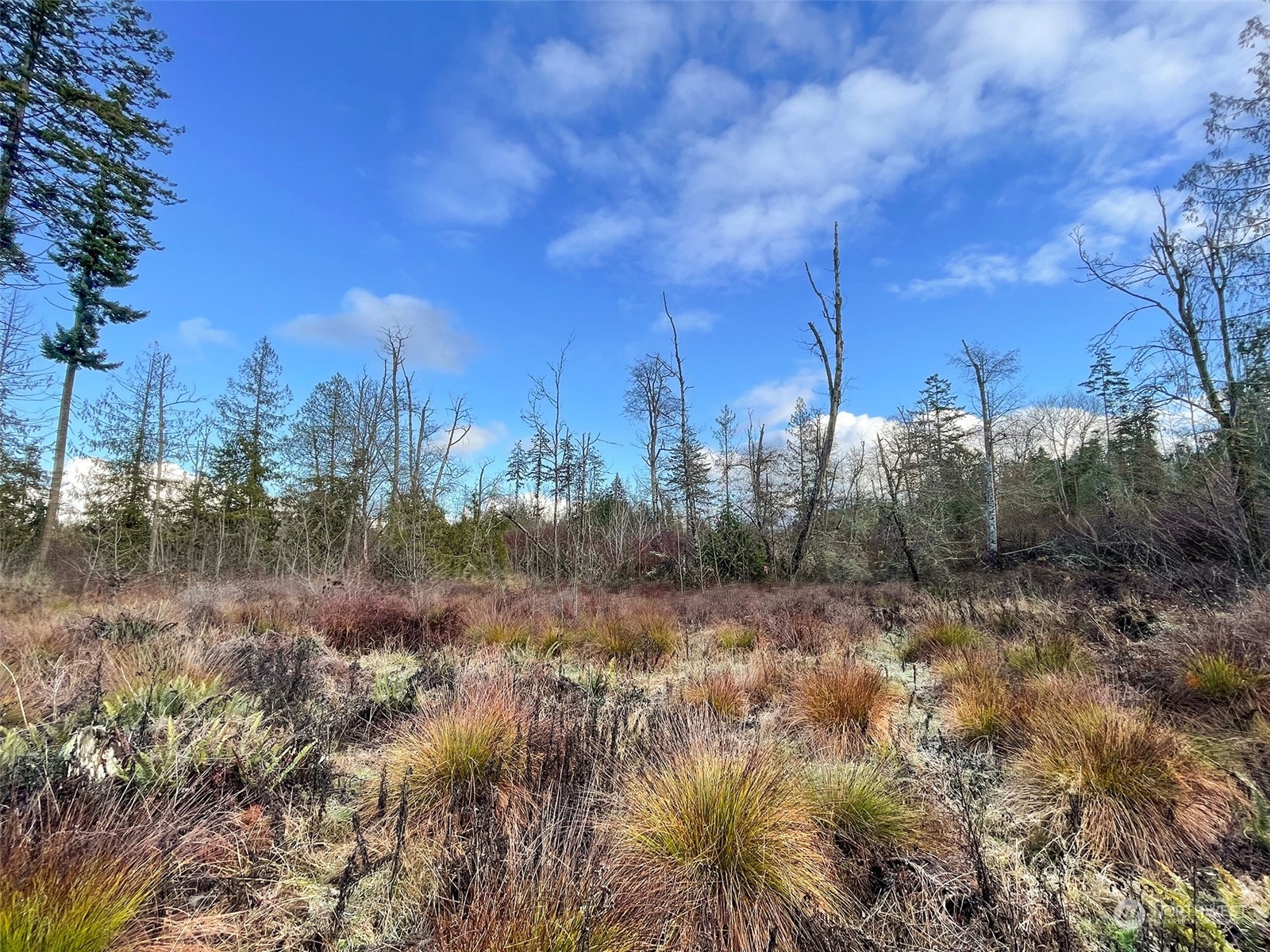 9999 Sutter Road Port Angeles, WA 98362 - Photo 17 of 40 Gallery Image 17