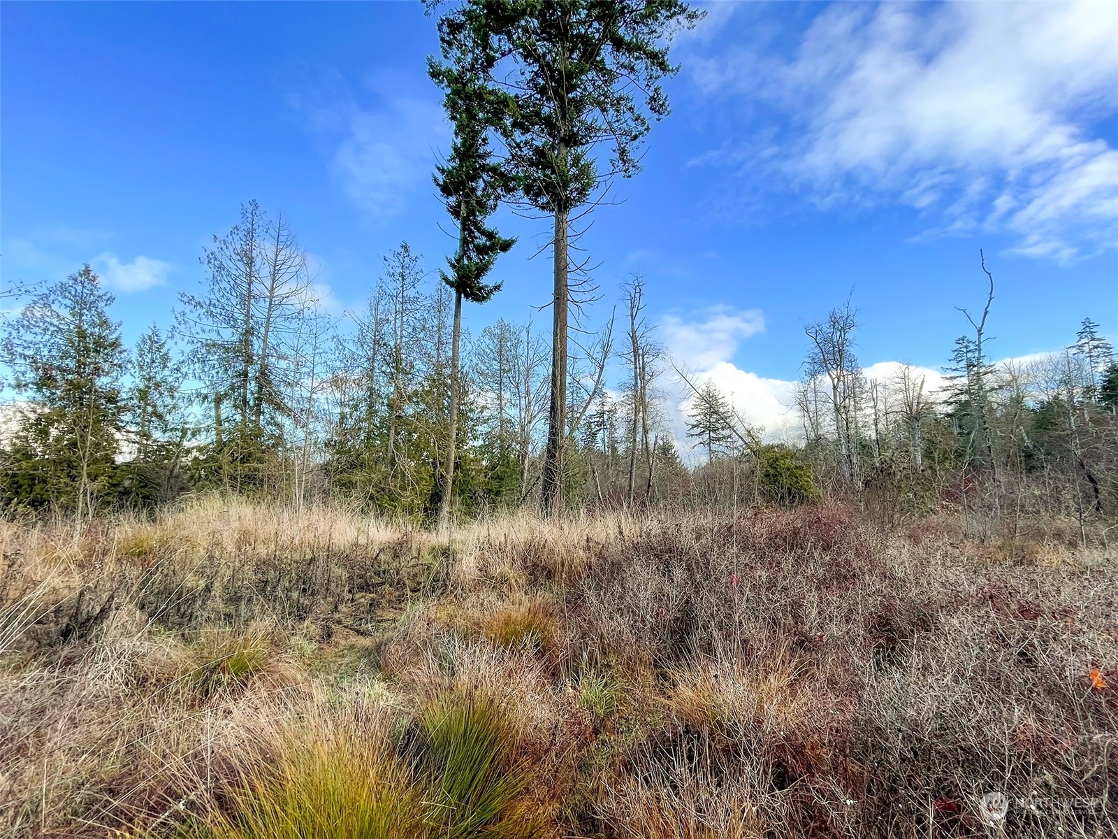 9999 Sutter Road Port Angeles, WA 98362 - Photo 8 of 40 Gallery Image 8