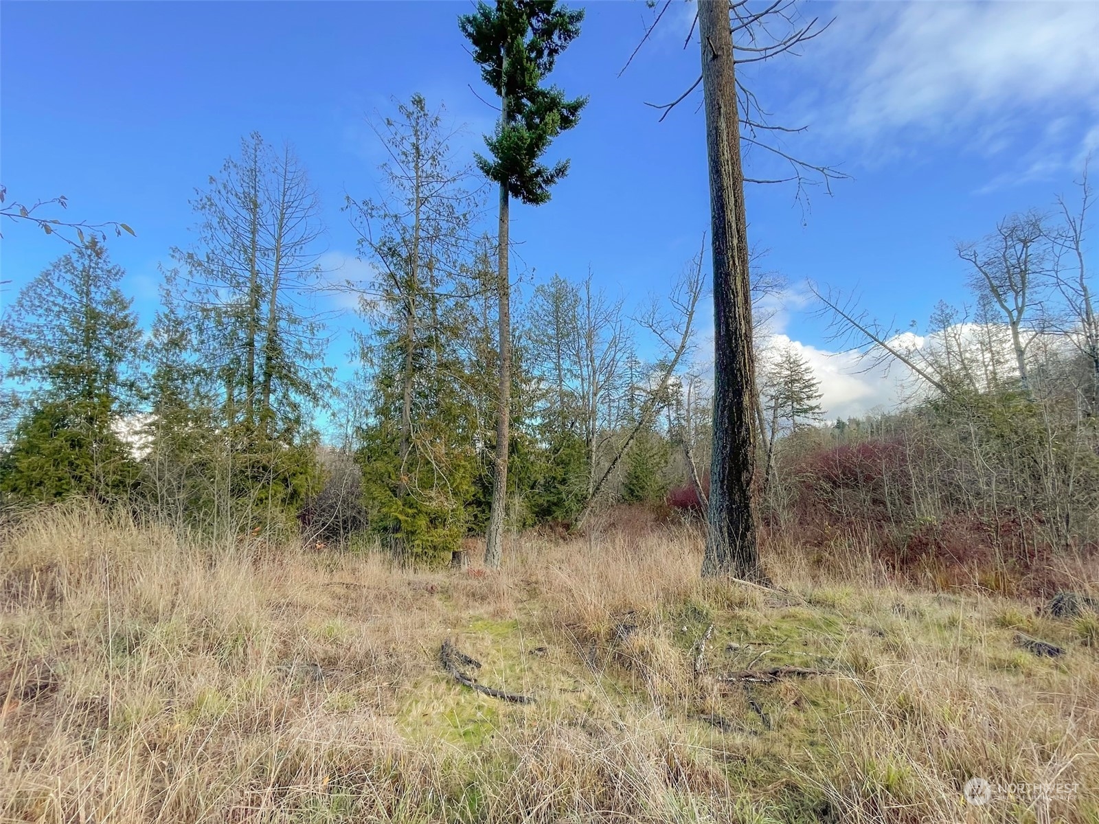 9999 Sutter Road Port Angeles, WA 98362 - Photo 10 of 40 Gallery Image 10