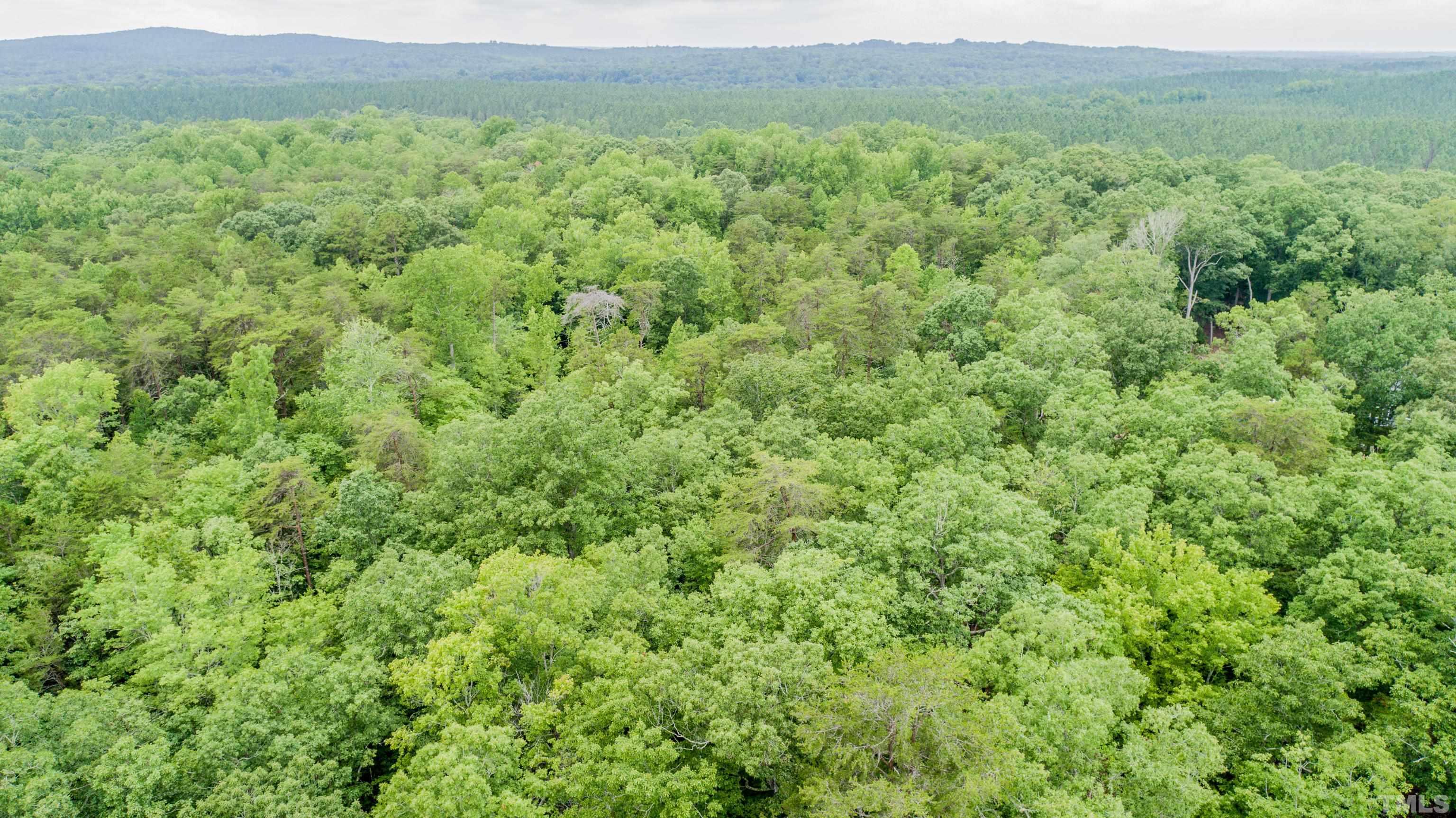 51-acres Fuller Road Rougemont, NC 27572 - Photo 6 of 19 a view of a lush green outdoor space with a mountain view