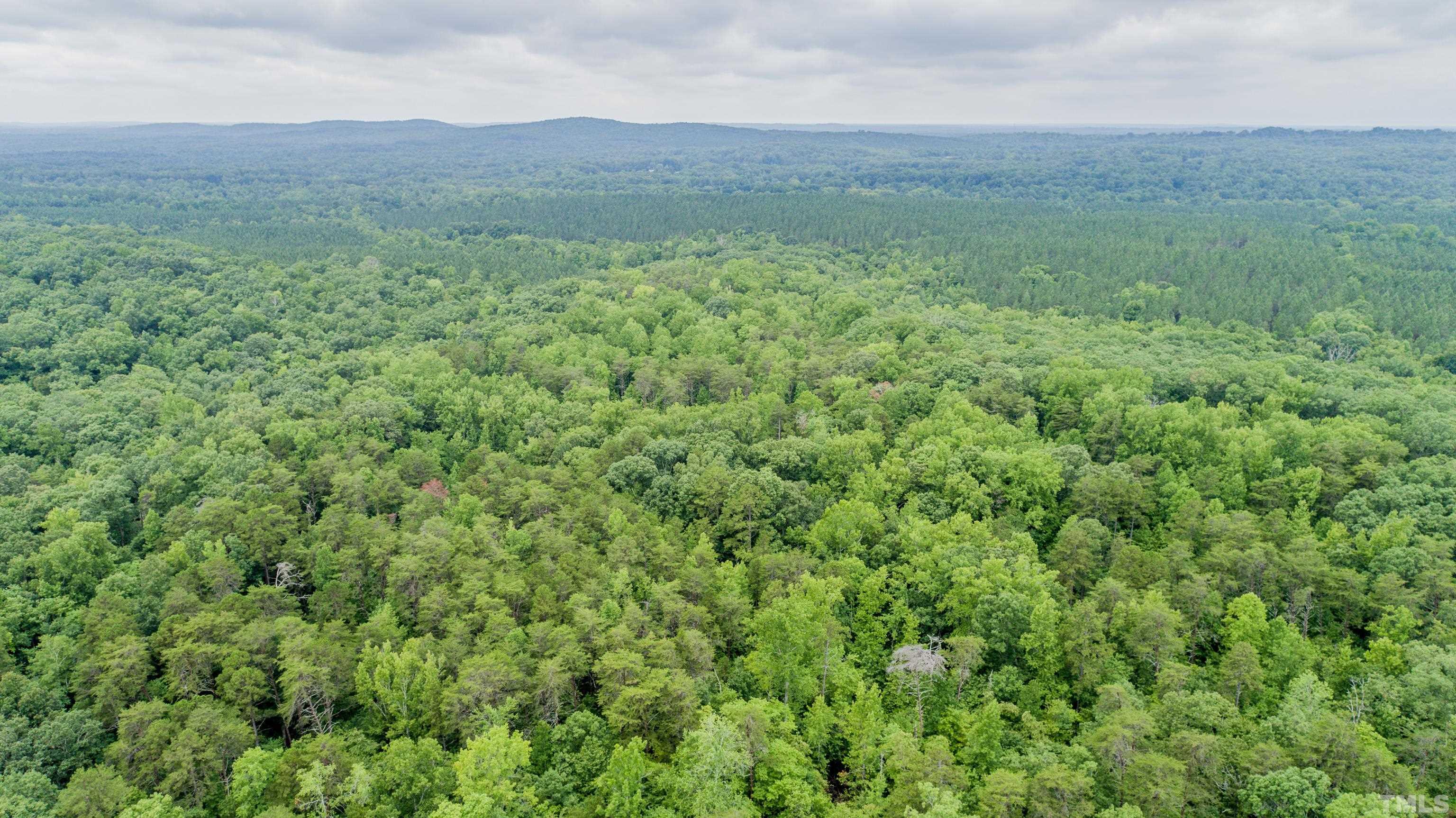 51-acres Fuller Road Rougemont, NC 27572 - Photo 8 of 19 a view of a lush green hillside and a houses