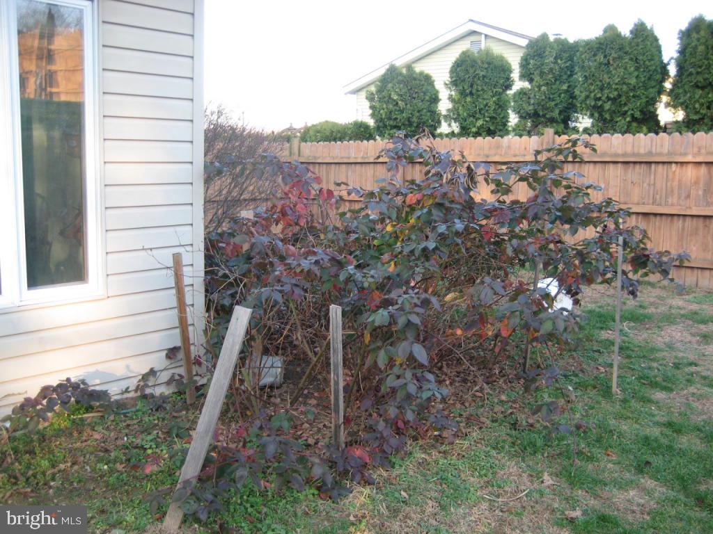 2254 Turnpike Road Elizabethtown, PA 17022 - Photo 35 of 38 Gallery Image 35