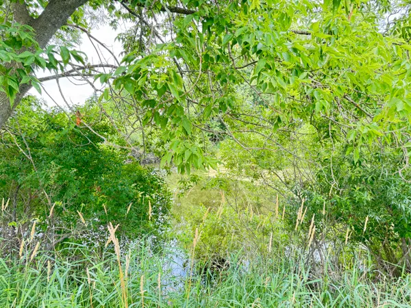 $300,000 | 5818 Us Highway, Free Soil, MI 49411