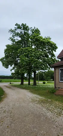 $300,000 | 5818 Us Highway, Free Soil, MI 49411