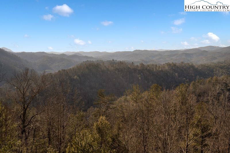 1155 Elk Ridge Road Ferguson, NC 28624 - Photo 29 of 46