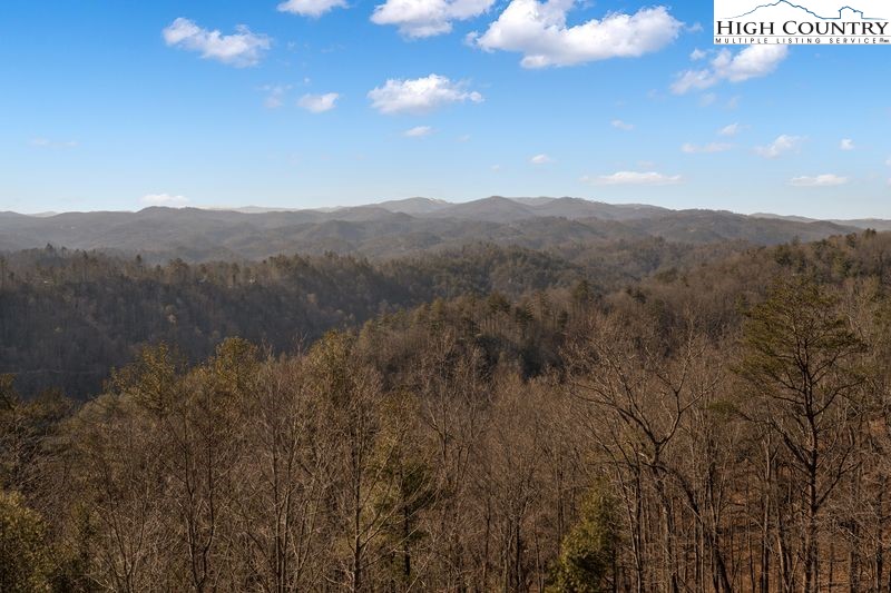 1155 Elk Ridge Road Ferguson, NC 28624 - Photo 9 of 46