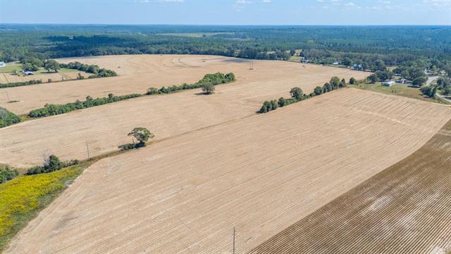 4.91-e Acre Mcphail Farm Road Florala, AL 36442 - Photo 3 of 8 a view of lake view and mountain view