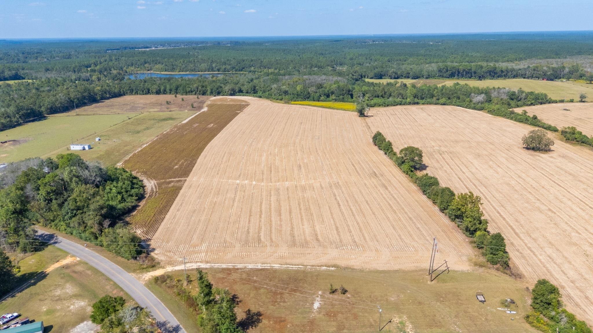 4.91-e Acre Mcphail Farm Road Florala, AL 36442 - Photo 4 of 8