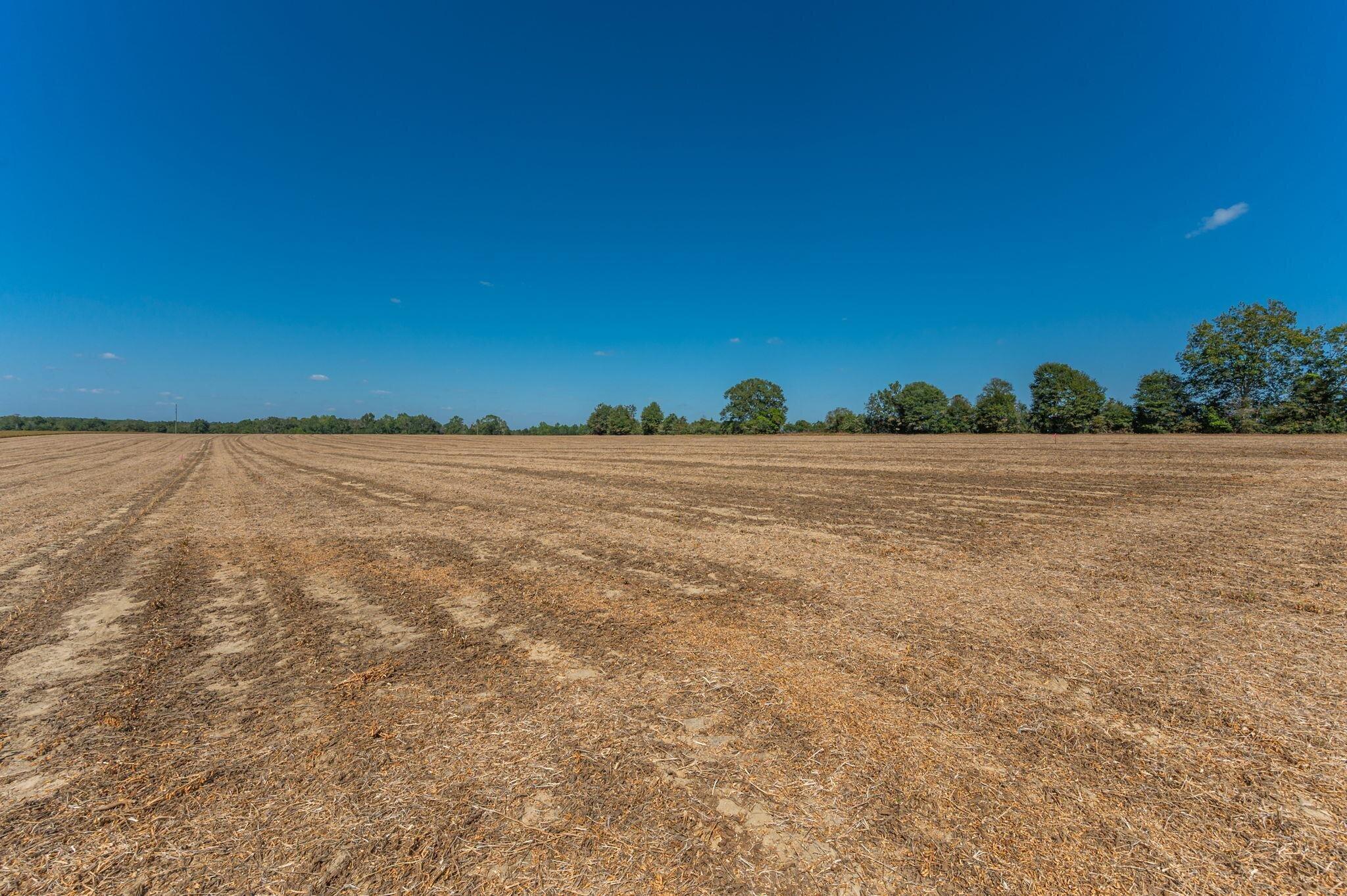 4.91-e Acre Mcphail Farm Road Florala, AL 36442 - Photo 6 of 8