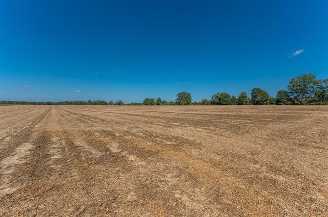 4.91-e Acre Mcphail Farm Road Florala, AL 36442 - Photo 7 of 8 a view of an ocean