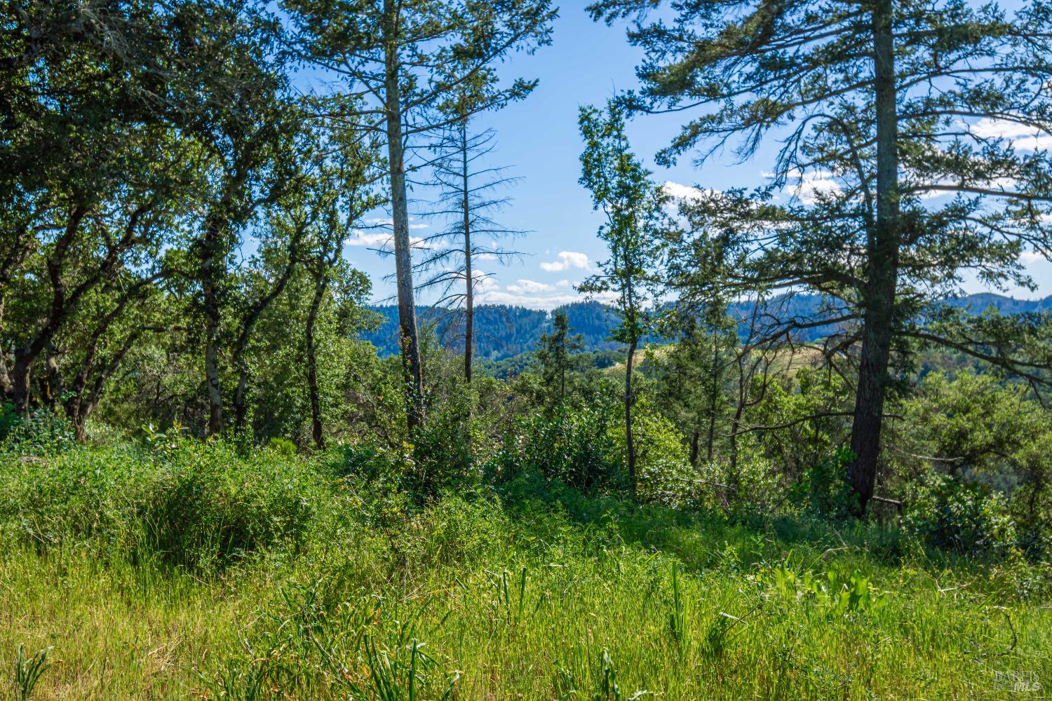 0 Dry Creek Road Napa, CA 94558 - Photo 82 of 98