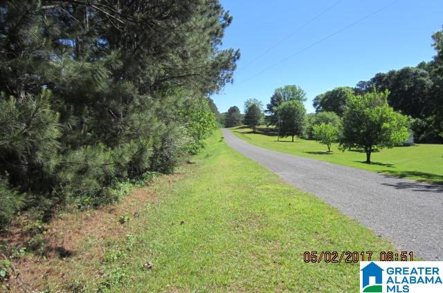 82-acres Creed Road, Unit 82 ACRES Lineville, AL 36266 - Photo 6 of 20