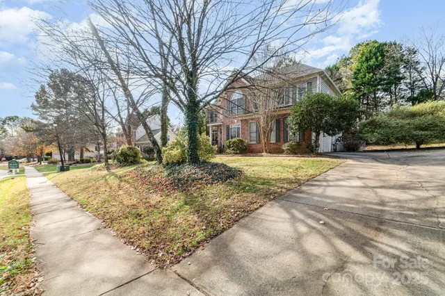a view of a yard with a tree