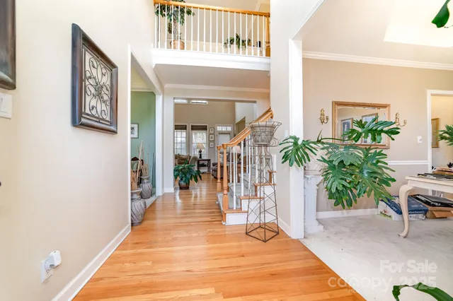 a hallway with a potted plant and a potted plant