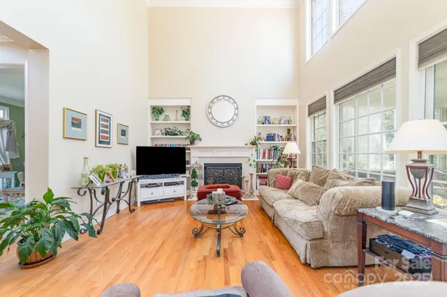 a living room with furniture a fireplace and a potted plant