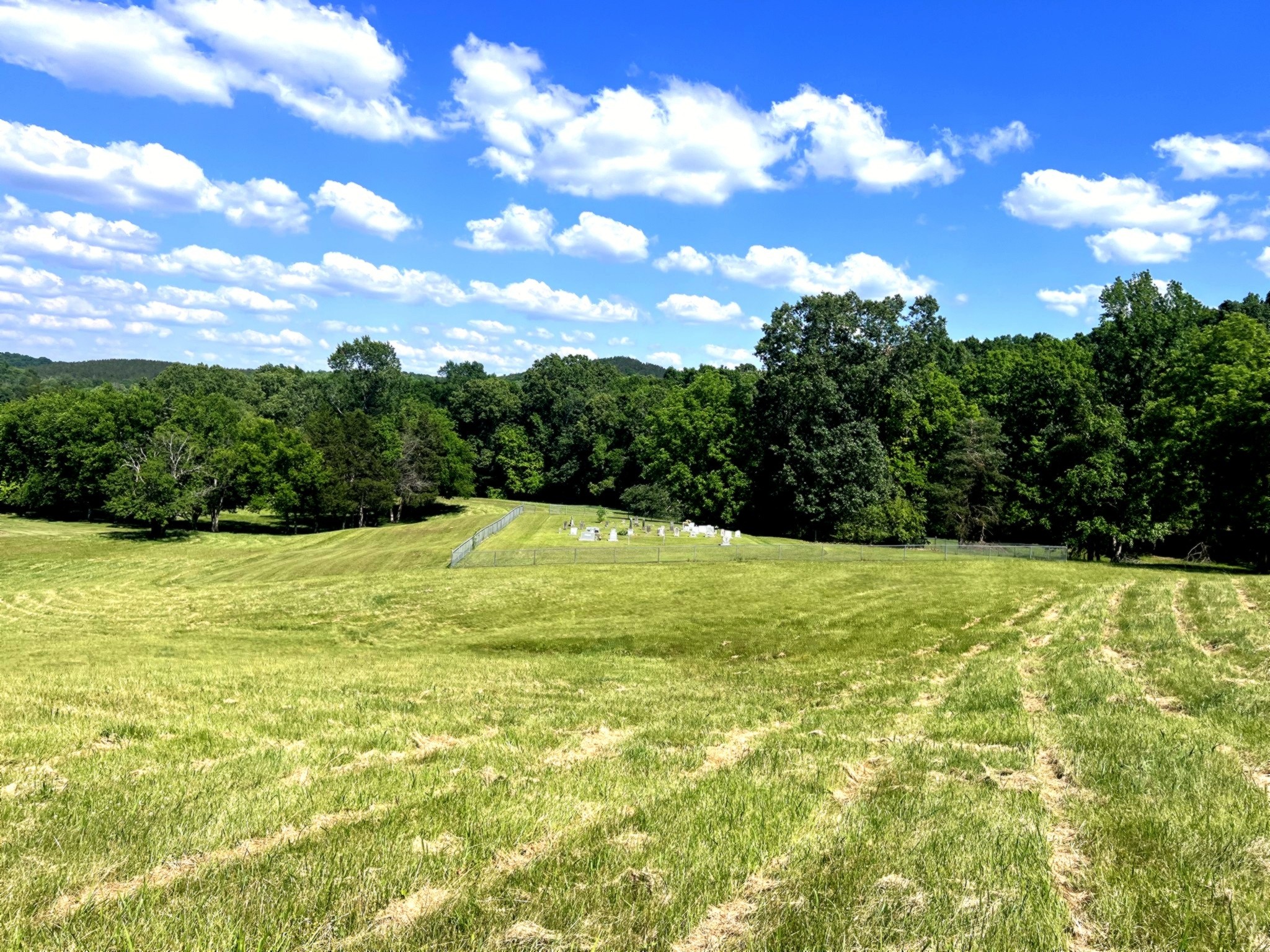 1133 Culps Bend Road Clifton, TN 38425 - Photo 43 of 51