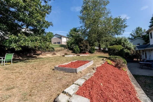 a view of yard with large trees
