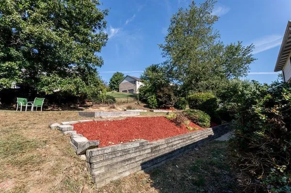 a view of a swimming pool with a yard and plants