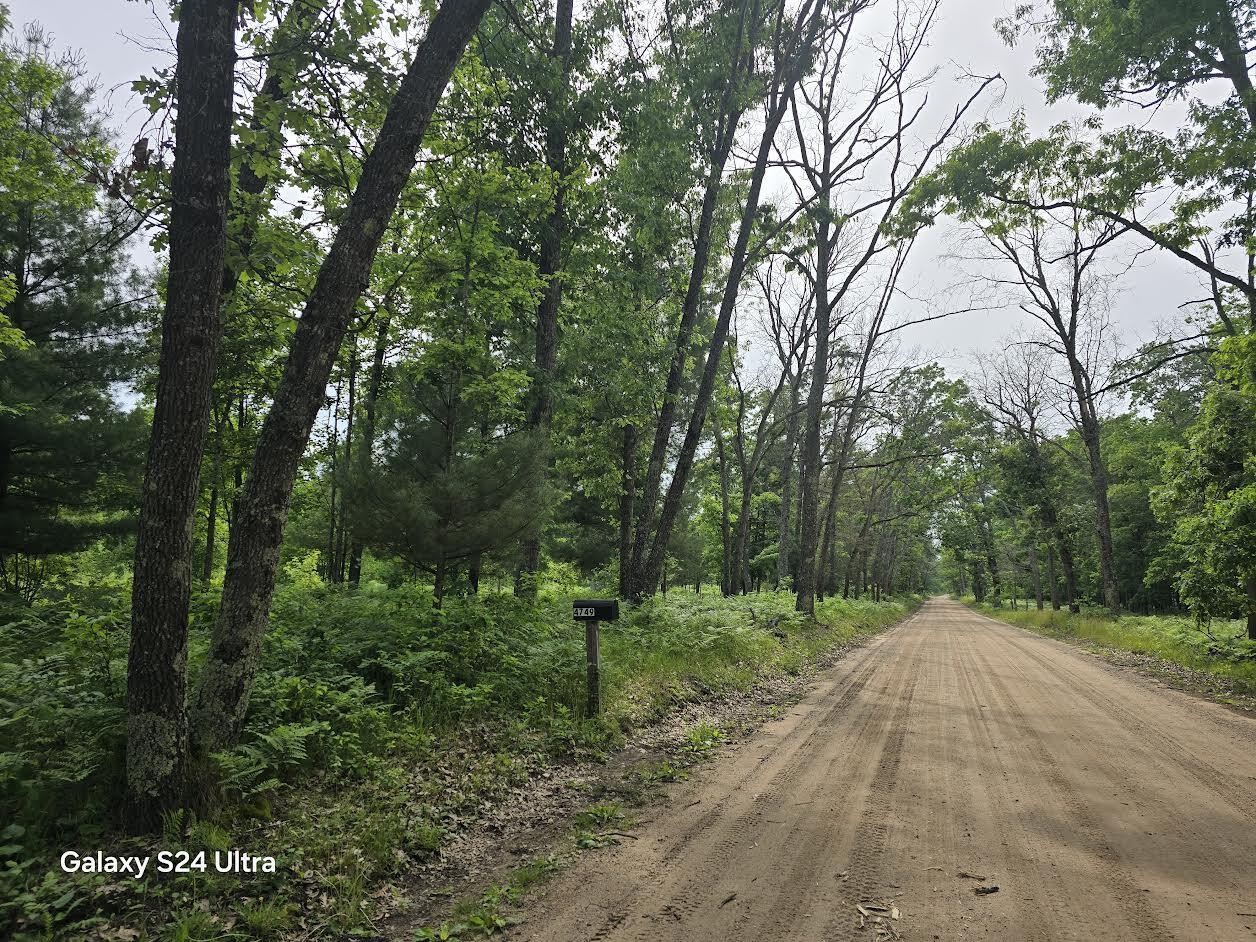4749 West 9 Mile Road Irons, MI 49644 - Photo 1 of 4 road view