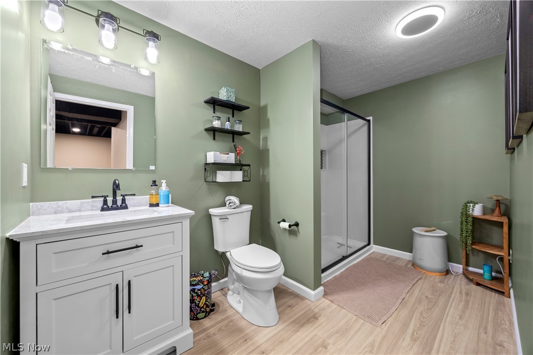 2161 Fowl Road Elyria, OH 44035 - Photo 33 of 46 Lower level full bath featuring walk in shower and vanity