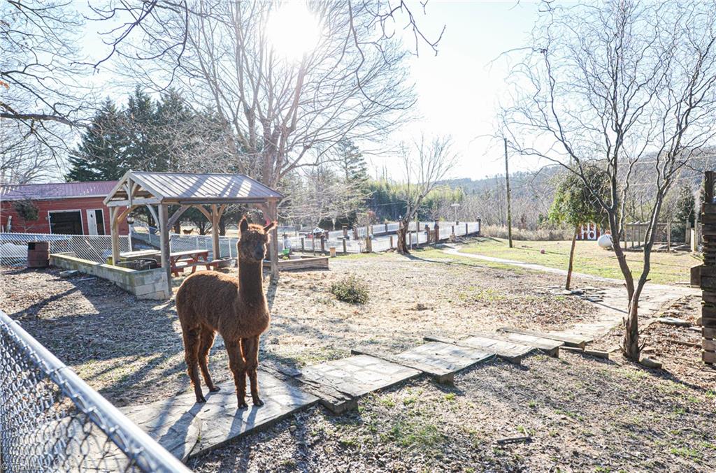 4901 Jah Road Germanton, NC 27019 - Photo 10 of 50 Gallery Image 10