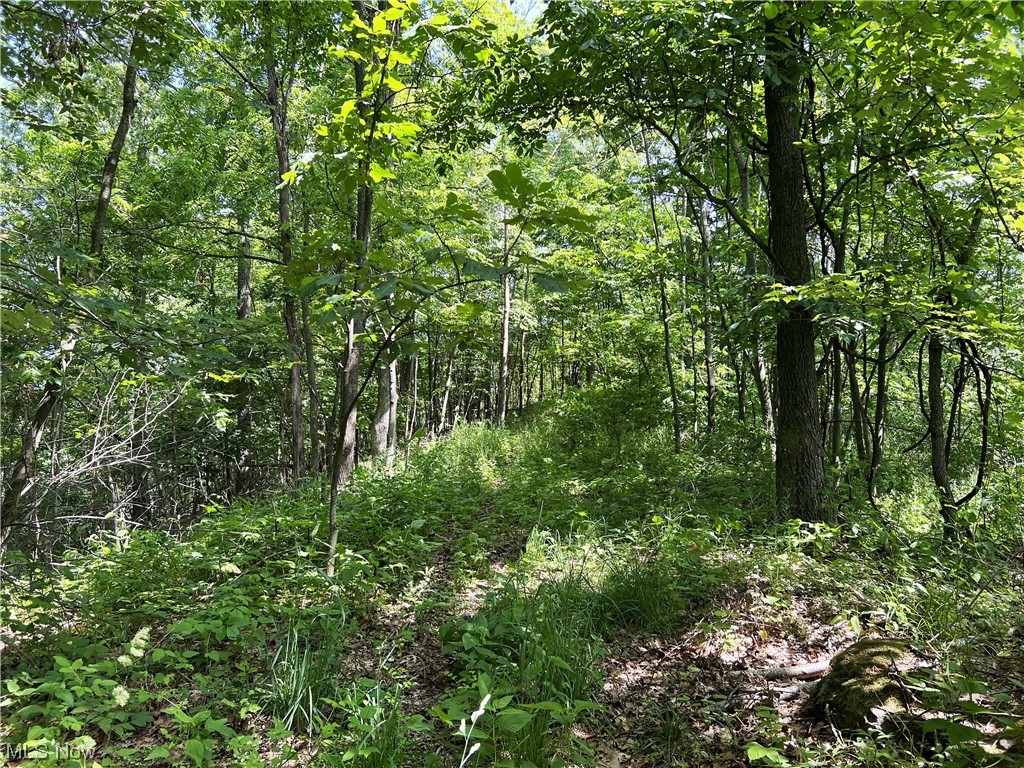 0 Camp Road Southeast Port Washington, OH 43837 - Photo 12 of 16 Gallery Image 12