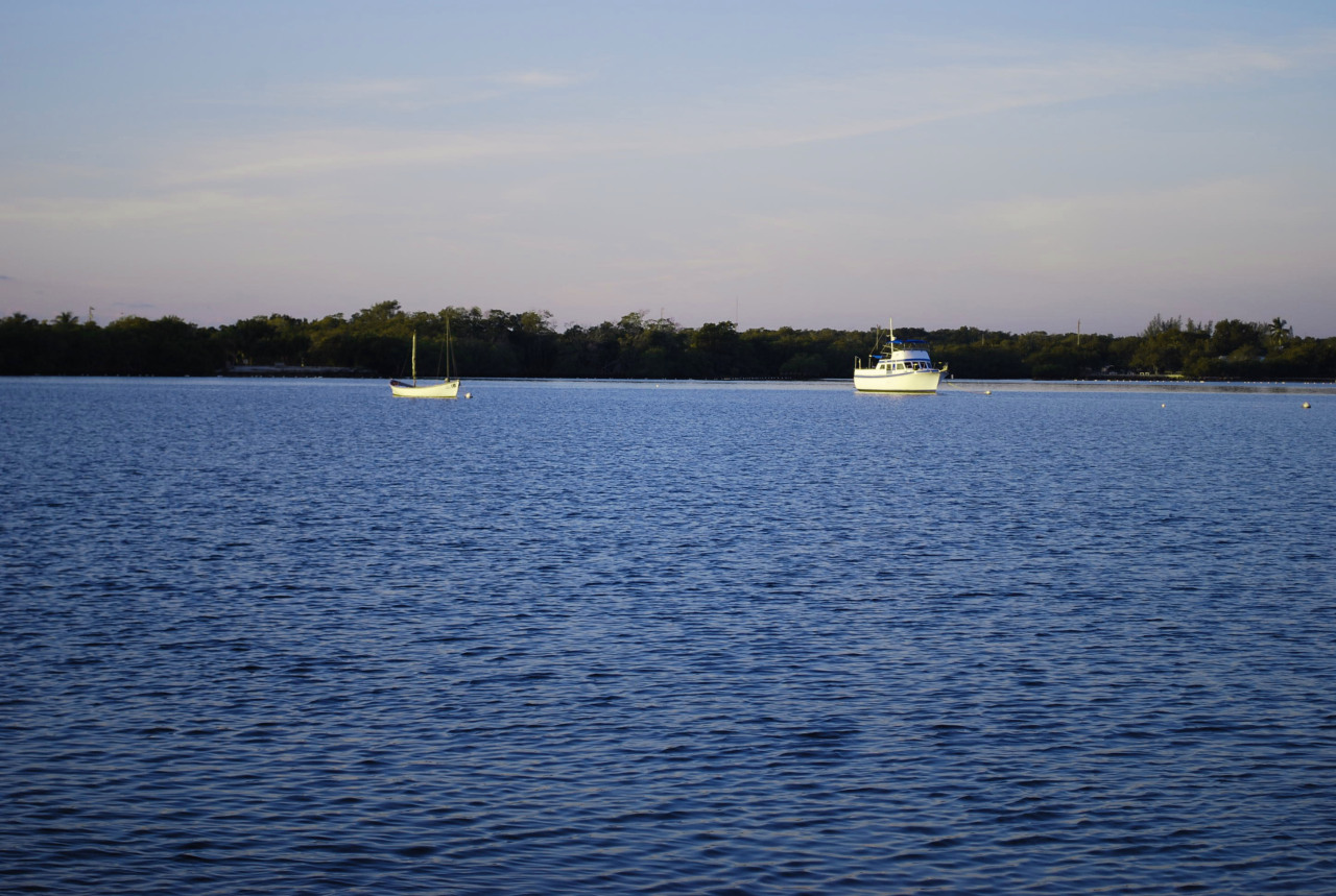 418 3rd Street Key Largo, FL 33037 - Photo 8 of 8 Morning on Largo Sound