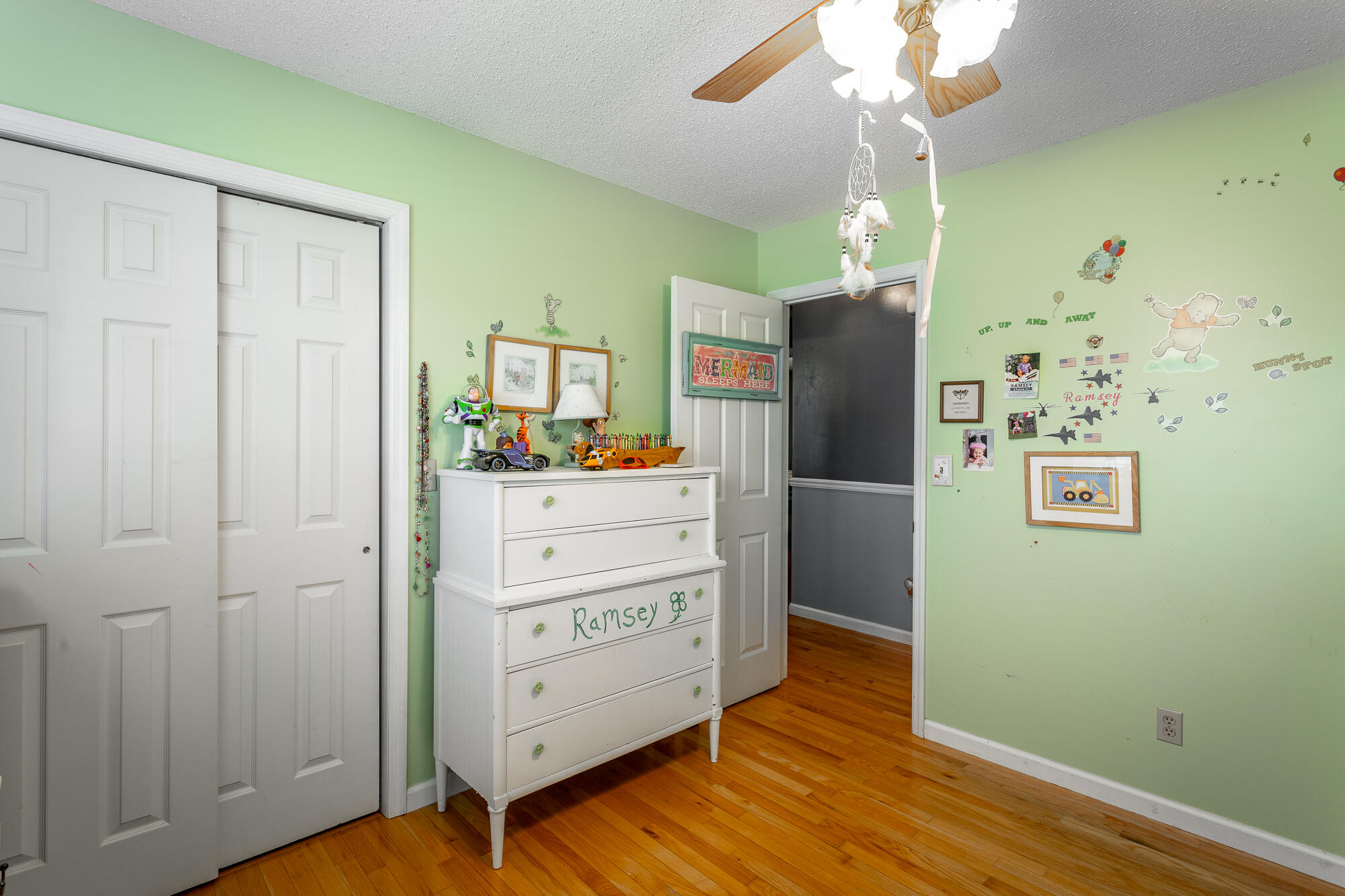 1536 Poplar Springs Road Ringgold, GA 30736 - Photo 27 of 78 1536 Poplar Springs HD-17